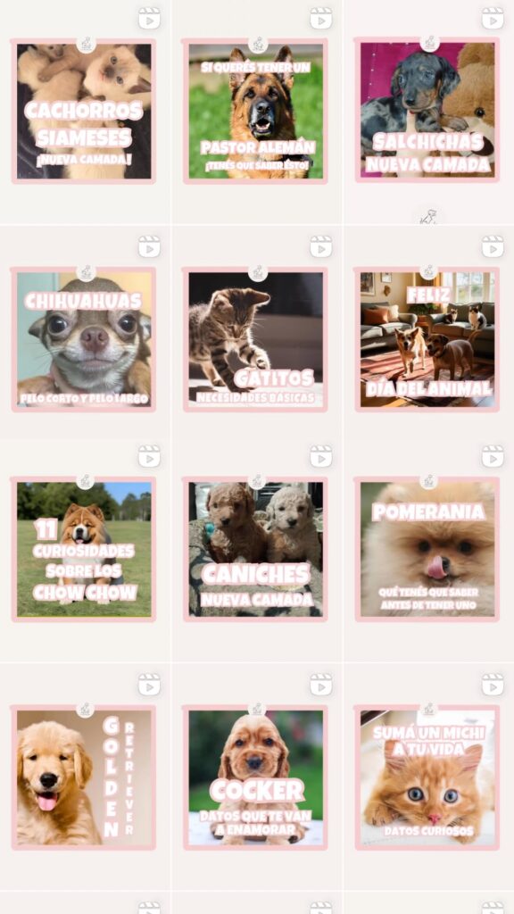 https://www.instagram.com/asesoramientodogycatbsas